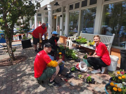 Volunteer Care Day at Dream Haven - 2023