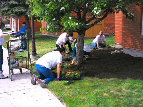 Volunteer Care day at Vista - 2023