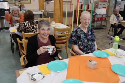 Volunteer Appreciation Tea  at Shouldice - 2024