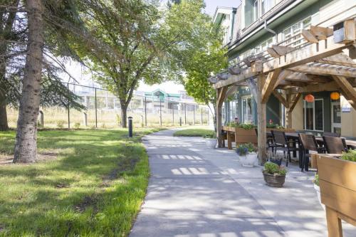 Enlarged patio area and a view of the new fence line around the back of Spruce Commons.